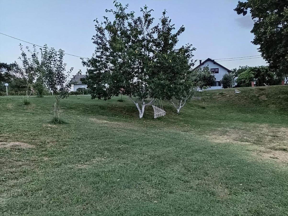 M&S&N Apartman Grabovac  Kültér fotó