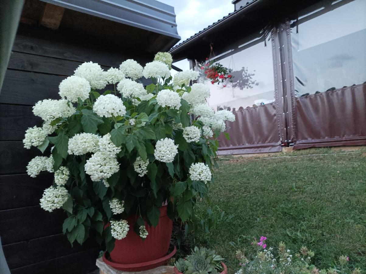M&S&N Apartman Grabovac  Kültér fotó