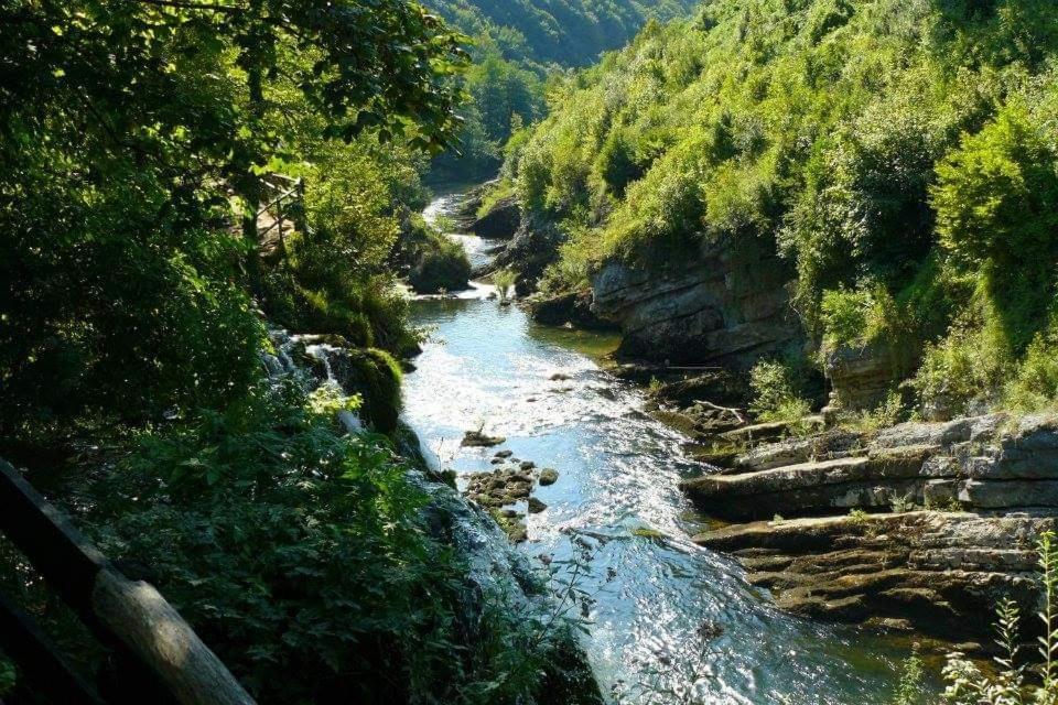 M&S&N Apartman Grabovac  Szoba fotó